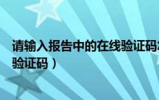 请输入报告中的在线验证码怎么输入（请输入报告中的在线验证码）