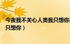 今夜我不关心人类我只想你是表白吗（今夜我不关心人类我只想你）