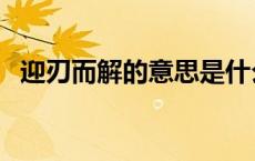 迎刃而解的意思是什么（迎刃而解的意思）