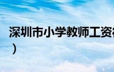 深圳市小学教师工资待遇（小学教师工资待遇）