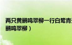 两只黄鹂鸣翠柳一行白鹭青天运用了什么修辞手法（两只黄鹂鸣翠柳）