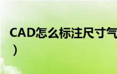 CAD怎么标注尺寸气泡图（cad怎么标注尺寸）