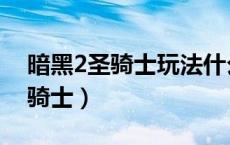 暗黑2圣骑士玩法什么流派厉害点（暗黑2圣骑士）