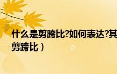 什么是剪跨比?如何表达?其对受剪承载力的影响?（什么是剪跨比）