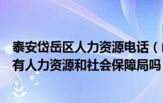 泰安岱岳区人力资源电话（山东省泰安市岱岳区和泰山区都有人力资源和社会保障局吗）