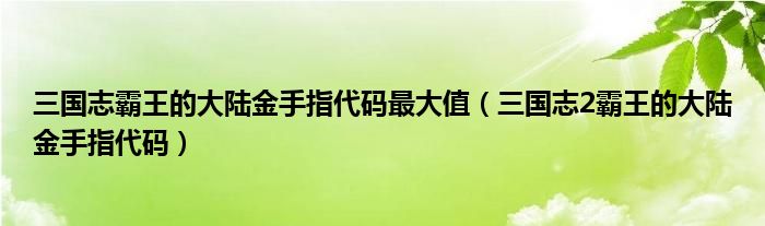 三国志霸王的大陆金手指代码最大值（三国志2霸王的大陆金手指代码）