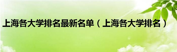 上海各大学排名最新名单（上海各大学排名）