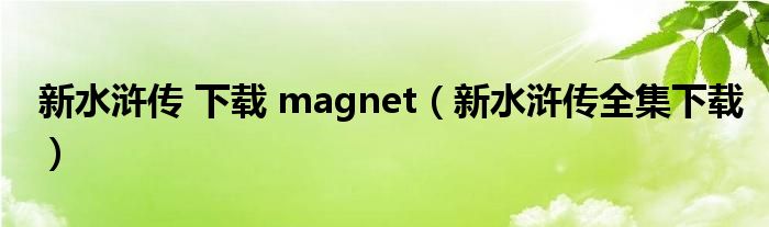 新水浒传 下载 magnet（新水浒传全集下载）