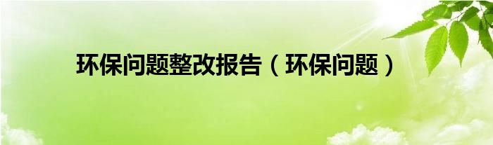 环保问题整改报告（环保问题）