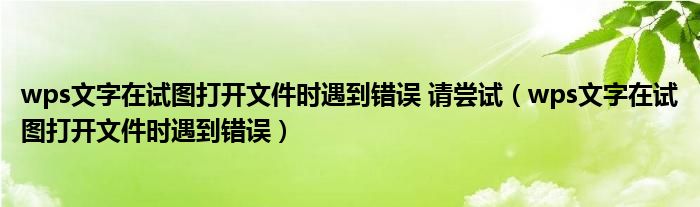 wps文字在试图打开文件时遇到错误 请尝试（wps文字在试图打开文件时遇到错误）