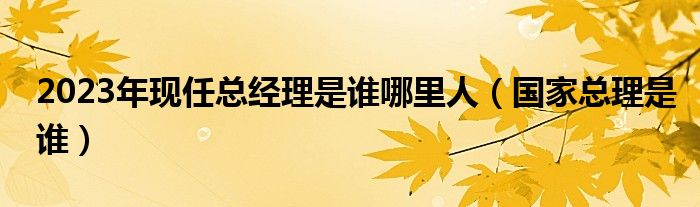 2023年现任总经理是谁哪里人（国家总理是谁）