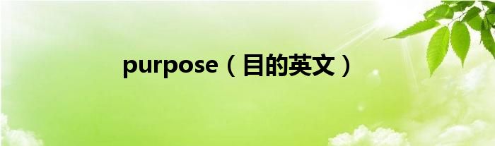 purpose（目的英文）