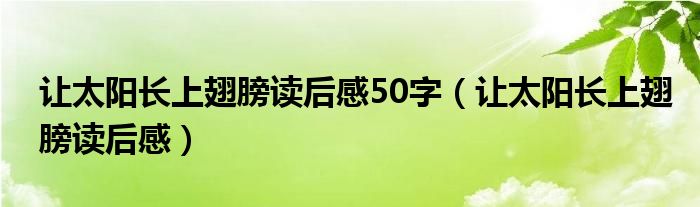 让太阳长上翅膀读后感50字（让太阳长上翅膀读后感）