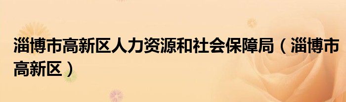 淄博市高新区人力资源和社会保障局（淄博市高新区）