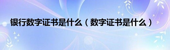 银行数字证书是什么（数字证书是什么）