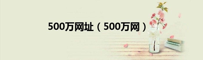 500万网址（500万网）