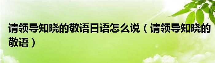 请领导知晓的敬语日语怎么说（请领导知晓的敬语）