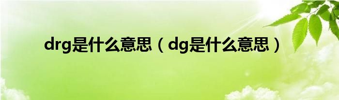 drg是什么意思（dg是什么意思）