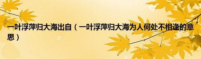 一叶浮萍归大海出自（一叶浮萍归大海为人何处不相逢的意思）