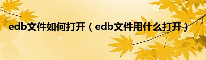 edb文件如何打开（edb文件用什么打开）