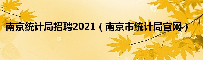 南京统计局招聘2021（南京市统计局官网）