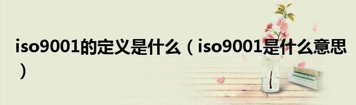 iso9001的定义是什么（iso9001是什么意思）