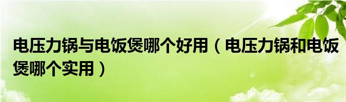 电压力锅与电饭煲哪个好用（电压力锅和电饭煲哪个实用）