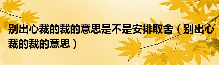 别出心裁的裁的意思是不是安排取舍（别出心裁的裁的意思）