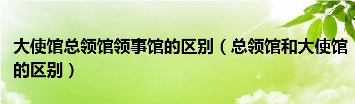 大使馆总领馆领事馆的区别（总领馆和大使馆的区别）