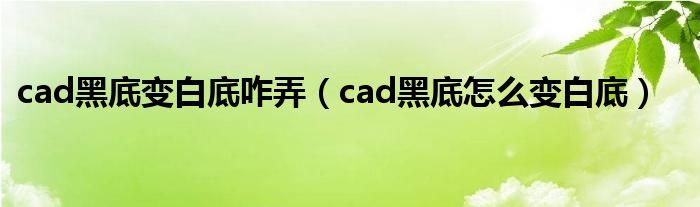 cad黑底变白底咋弄（cad黑底怎么变白底）