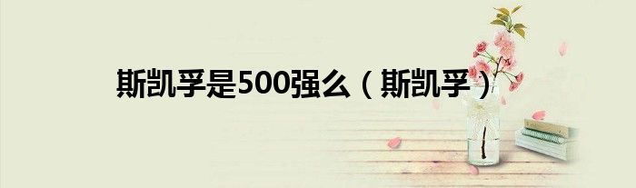 斯凯孚是500强么（斯凯孚）