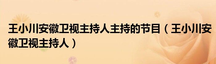 王小川安徽卫视主持人主持的节目（王小川安徽卫视主持人）