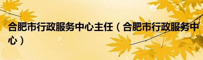 合肥市行政服务中心主任（合肥市行政服务中心）