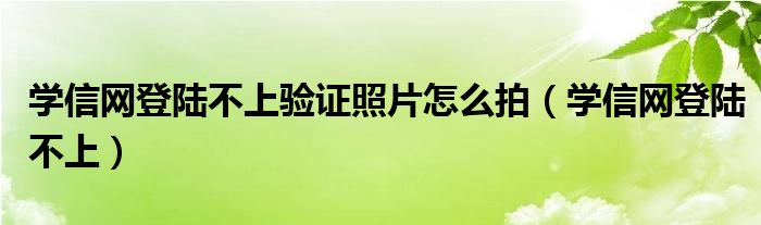 学信网登陆不上验证照片怎么拍（学信网登陆不上）