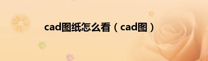 cad图纸怎么看（cad图）