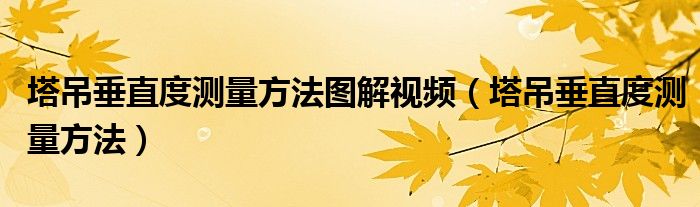 塔吊垂直度测量方法图解视频（塔吊垂直度测量方法）