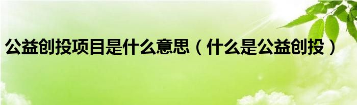 公益创投项目是什么意思（什么是公益创投）