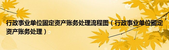 行政事业单位固定资产账务处理流程图（行政事业单位固定资产账务处理）