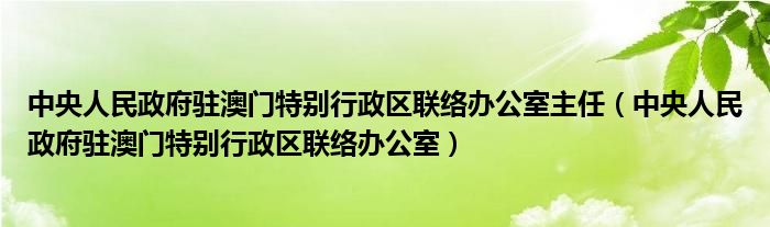 中央人民政府驻澳门特别行政区联络办公室主任（中央人民政府驻澳门特别行政区联络办公室）