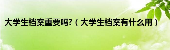 大学生档案重要吗?（大学生档案有什么用）