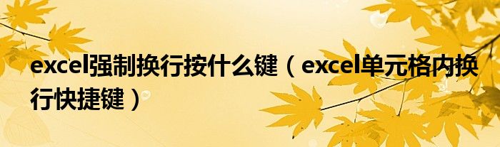 excel强制换行按什么键（excel单元格内换行快捷键）