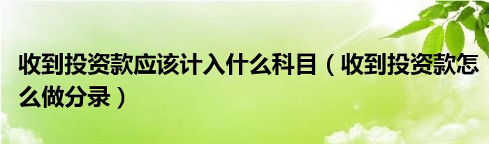 收到投资款应该计入什么科目（收到投资款怎么做分录）