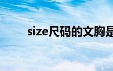 size尺码的文胸是多大（size尺码）