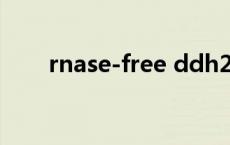 rnase-free ddh2o是什么（rnase）