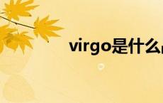 virgo是什么品牌（virgo）