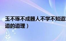 玉不琢不成器人不学不知道对吗（玉不琢不成器人不学不知道的道理）