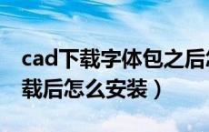 cad下载字体包之后怎样才能用（cad字体下载后怎么安装）