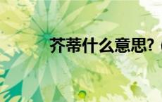 芥蒂什么意思?（芥蒂什么意思）