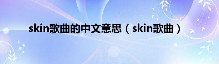 skin歌曲的中文意思（skin歌曲）