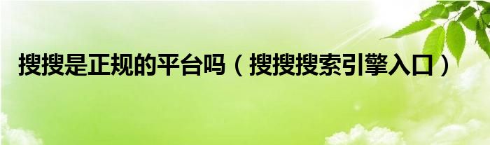 搜搜是正规的平台吗（搜搜搜索引擎入口）